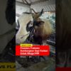 [ID: DLmAOF2Xuew] Youtube Automatic