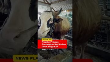 [ID: DLmAOF2Xuew] Youtube Automatic