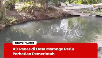 [ID: Ww4Dq153Zss] Youtube Automatic