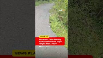 [ID: aeMo_TwiU9Q] Youtube Automatic