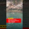 [ID: Uw6dpNPWKgQ] Youtube Automatic